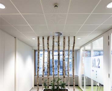 Acoustic Ceiling Tile Plaza+ (A+)